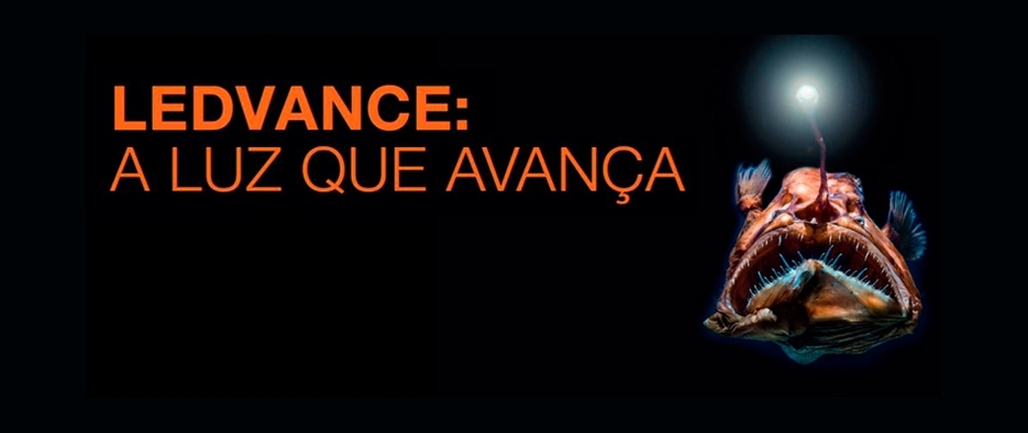 O que ainda não sabe sobre a iluminação em escritórios